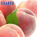 送料無料 桃 お買得♪ 福島県産 ふくしまの高糖度川中島白桃 5玉 約1.3kg |8月中旬以降順次お届け※沖縄・離島へは届不可(直)