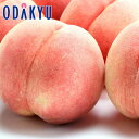 送料無料 桃 お買得♪ 福島県産 ふくしまの丸かじりもも 約4.8kg |7月下旬以降順次お届け※沖縄・離島へは届不可(直)