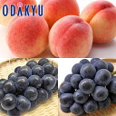 送料無料 桃 ぶどう お買得♪ 旬のあかつきと濃厚ぶどうセット 約3kg |7月下旬以降順次お届け※沖縄・離島へは届不可(直)