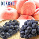 送料無料 桃 ぶどう お買得♪ 濃密まどかと旬ぶどう食べ比べ 約3kg |8月1日(金)以降順次お届け※沖縄・離島へは届不可(直)