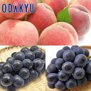 送料無料 桃 ぶどう お買得♪ 川中島白桃と旬ぶどう食べ比べ 約3kg |8月中旬以降順次お届け※沖縄・離島へは届不可(直)