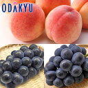 送料無料 桃 ぶどう お買得♪ 高糖度あかつき5玉 & 種無し巨峰とピオーネ 約1.8kg |7月下旬以降順次お届け※沖縄・離島へは届不可(直)