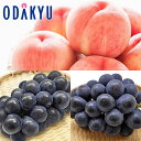 送料無料 桃 ぶどう お買得♪ 高糖度まどか5玉 & 種無し巨峰とピオーネ 約1.8kg |8月中旬以降順次お届け※沖縄・離島へは届不可(直)