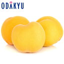 桃 福島県産 濃厚果実、ふくしまの黄金桃 大玉 約1kg |8月中旬以降順次お届け※沖縄・離島へは届不可(直)