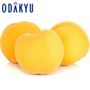 桃 福島県産 福島の黄金桃 特秀 10玉 約2.7kg |8月中旬以降順次お届け※沖縄・離島へは届不可(直)