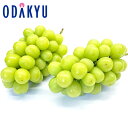 ぶどう 岡山県産 シャインマスカット 晴王 2房入り 約1kg |7月下旬以降順次お届け※沖縄・離島へは届不可(直)