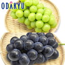ぶどう 送料無料 お買得♪ 山梨県産 シャインマスカット & 種なし巨峰 約0.8kg |7月下旬以降順次お届け※沖縄・離島へは届不可(直)