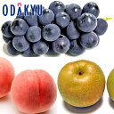 ぶどう もも なし 送料無料 種なし巨峰 & 桃・梨 セット 秀 約2.9kg |8月1日(金)以降順次お届け※沖縄・離島へは届不可(直)