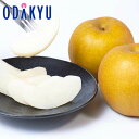 梨 なし 送料無料 新甘泉6玉 約2kg |8月中旬以降に順次発送※沖縄・離島へは届不可(直)