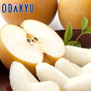 梨 送料無料 もっと豊水三昧 秀品 約2.4kg |9月1日以降に順次お届け※沖縄・離島へは届不可(直)