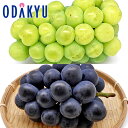 葡萄 送料無料 岡山県産 岡山ぶどう 瀬戸ジャイアンツ & ニューピオーネ 秀品以上 約0.9kg |9月1日以降に順次お届け※沖縄・離島へは届不可(直)