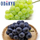 葡萄 送料無料 岡山県産 岡山ぶどう 翠峰 & ニューピオーネ 秀品以上 約0.9kg |9月下旬以降に順次お届け※沖縄・離島へは届不可(直)