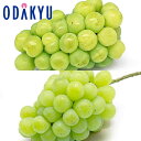葡萄 送料無料 岡山県産 岡山ぶどう 瀬戸ジャイアンツ & 翠峰 秀品以上 約0.9kg |9月下旬以降に順次お届け※沖縄・離島へは届不可(直)