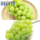 葡萄 送料無料 岡山県産 岡山ぶどう シャインマスカット & 翠峰 秀品以上 約0.9kg |9月下旬以降に順次お届け※沖縄・離島へは届不可(直)