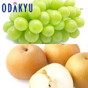 ぶどう なし 送料無料 岡山県産 晴王 & 糖度12度以上 あきづき 秀品以上 約1.6kg |9月中旬以降に順次お届け※沖縄・離島へは届不可(直)|詳細画像
