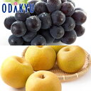 ぶどう なし 送料無料 岡山県産 大房ニューピオーネ & 糖度12度以上 豊水梨 秀品以上 約1.8kg |9月1日以降に順次お届け※沖縄・離島へは届不可(直)|詳細画像