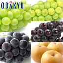 ぶどう なし 送料無料 おすすめぶどう4品種と糖度12度以上の梨 秀品以上 約2.8kg |9月中旬以降に順次お届け※沖縄・離島へは届不可(直)