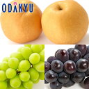 ぶどう なし 送料無料 旬の梨と岡山県産 シャインマスカット & 種無しピオーネ 秀品以上 約1.1kg |9月1日以降に順次お届け※沖縄・離島へは届不可(直)