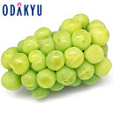 ぶどう 送料無料 岡山県産 瀬戸ジャイアンツ 1房 秀品以上 約0.6kg |9月1日以降に順次お届け※沖縄・離島へは届不可(直)