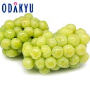 ぶどう 送料無料 岡山県産 瀬戸ジャイアンツ 2房セット 秀品以上 約1.2kg |9月1日以降に順次お届け※沖縄・離島へは届不可(直)