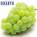 ぶどう 送料無料 岡山県産 翠峰 1房 秀品以上 約0.6kg |9月下旬以降に順次お届け※沖縄・離島へは届不可(直)