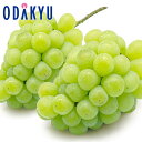 ぶどう 送料無料 岡山県産 翠峰 2房セット 秀品以上 約1.2kg |9月下旬以降に順次お届け※沖縄・離島へは届不可(直)