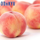 もも 送料無料 旬の産地でお届け 桃 6玉セット 秀品以上 約1.6kg |9月1日以降に順次お届け※沖縄・離島へは届不可(直)