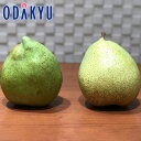 洋梨 送料無料 山形県産 マルゲリット・マリーラ 特秀 約4.8kg |9月中旬以降に順次お届け※沖縄・離島へは届不可(直)