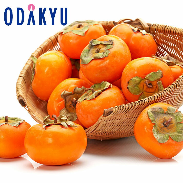 楽天市場】ハウス柿の通販