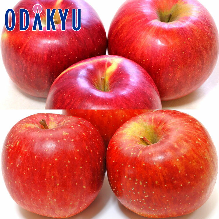 りんご シナノスイート & 夢ひかり 計6玉 約1.6kg ｜10月中旬以降のお届け※沖縄・離島へは届不可(直)