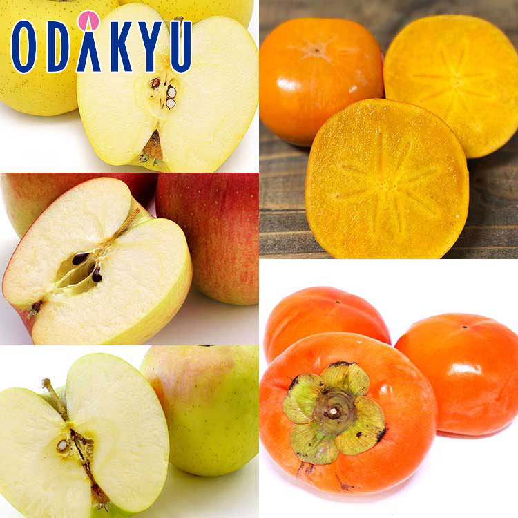 かき りんご りんご三種 & 富有柿詰合せ 約3.1kg 秀 ｜7-12日程度でのお届け※沖縄・離島へは届不可(直)