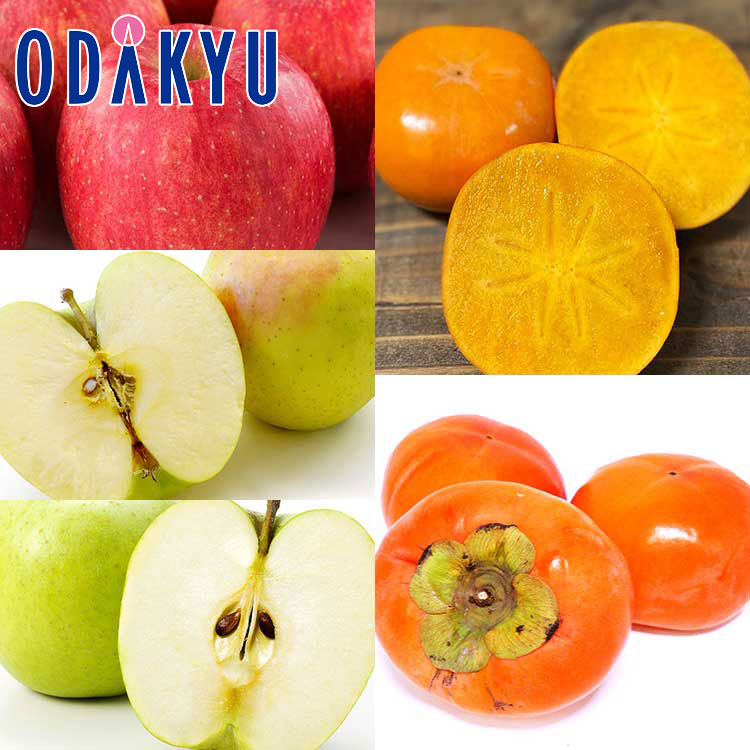 カキ りんご サンふじ ・ ぐんま名月 ・ 王林 & 柿詰合せ 約3.1kg 秀 ｜11月中旬以降のお届け※沖縄・離..