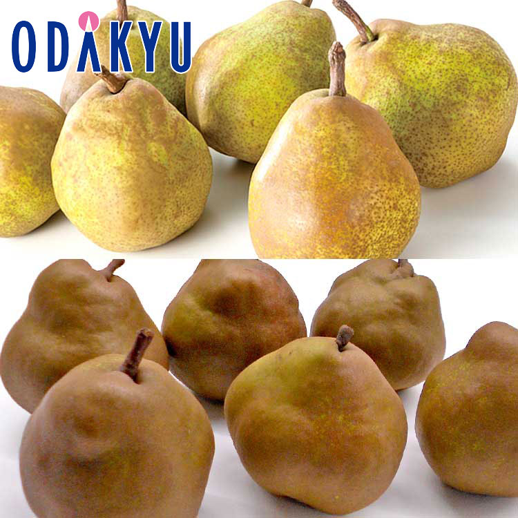 洋なし 青森県他 ラ・フランス & ゴールドラ・フランスをたっぷり堪能セット 約3.2kg 秀 |7-12日程度でのお届け※沖縄・離島へは届不可(直)