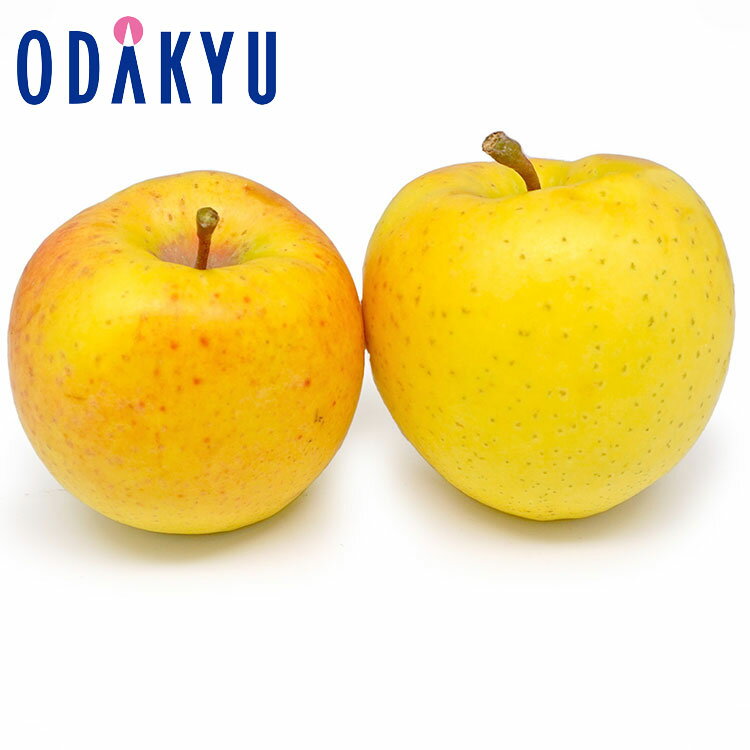 りんご 青森県他 希少りんご星の金貨 2.4kg 秀品 ｜11月下旬以降のお届け※沖縄・離島へは届不可(直)(4)