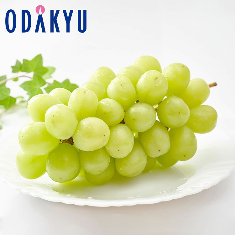 ぶどう 長野県産 シャインマスカット 1房詰め 約0.5kg 秀 ｜7-12日程度でのお届け※沖縄・離島へは届不可(直)