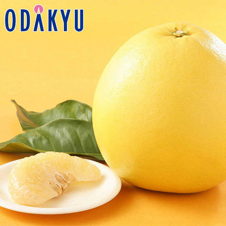 みかん 送料無料 お歳暮好適品 熊本県産 晩白柚 約3kg 秀 ｜12月1日以降順次配送※沖縄・離島へは届不可