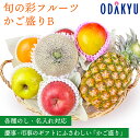 【百貨店公式】 旬の彩フルーツかご盛りB フルーツ 盛り合わせ ギフト セット |指定日届※沖縄・離島へは届不可(0418)(直)