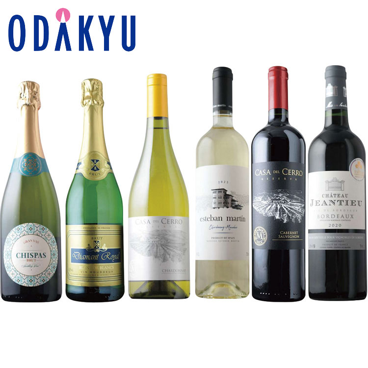 お買い得 まとめ買い パーティーバラエティワイン 6本セット ｜約7-10日程度でのお届け※沖縄・離島へは届不可