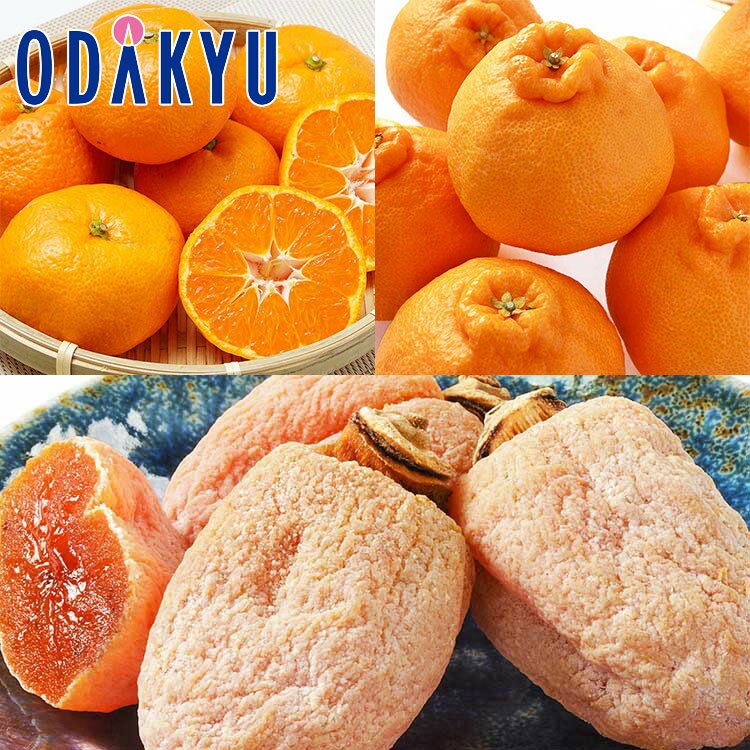 福袋 2026 フルーツ 柑橘と干柿のほっこりセット ｜2026年1月8日以降順次お届け※沖縄・離島へは届不可(h)