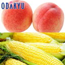 旬 野菜 フルーツ 桃 & とうもろこしセット |8月18日(月)以降順次配送予定※沖縄・離島へは届不可(直)