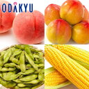 旬 野菜 フルーツ 夏の味覚ミニMIX |8月18日(月)以降順次配送予定※沖縄・離島へは届不可(直)