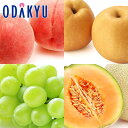 旬 野菜 フルーツ 夏の高級果物盛合せ |8月18日(月)以降順次配送予定※沖縄・離島へは届不可(直)