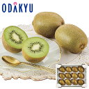 【公式】小田急百貨店 和歌山県産 キウイ / 御歳暮 歳暮 冬ギフト 冬の贈り物 2025 楽天 親戚 友人 会社宛 両親 |お届け希望期間指定※沖縄・離島へは...