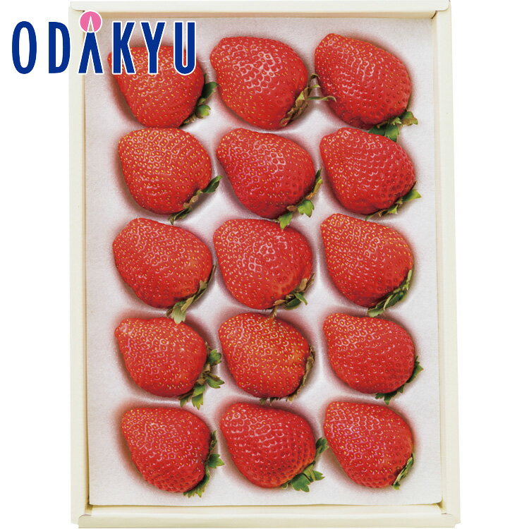 【公式】小田急百貨店 ［ 京橋千疋屋 ］ 国産苺 / 御歳暮 歳暮 冬ギフト 冬の贈り物 2025 楽天 親戚 友人 会社宛 両親 ｜12/10より順次お届け（※お届け希望期間指定）※沖縄・離島へは届不可