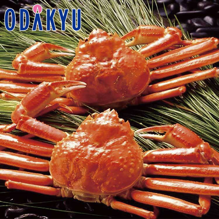 【公式】小田急百貨店 ボイルずわいがに姿 / 御歳暮 歳暮 冬ギフト 冬の贈り物 2025 楽天 親戚 友人 会社宛 両親 ｜お届け希望期間指定※沖縄・離島へは届不可