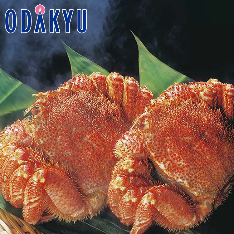 【公式】小田急百貨店 ［ 藤井水産 ］ ボイル毛がに / 御歳暮 歳暮 冬ギフト 冬の贈り物 2025 楽天 親戚 友人 会社宛 両親 ｜お届け希望期間指定※沖縄・離島へは届不可