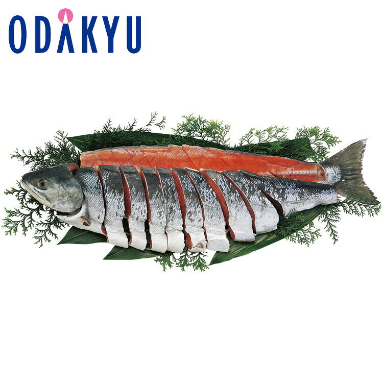 【公式】小田急百貨店 ［ 魚小路 ］ 新巻鮭姿切り / 御歳暮 歳暮 冬ギフト 冬の贈り物 2025 楽天 親戚 友人 会社宛 両親 ｜お届け希望期間指定※沖縄・離島へは届不可