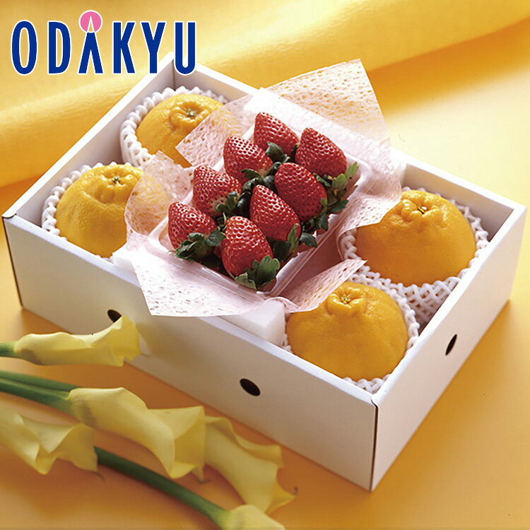 【公式】小田急百貨店 ハウスデコポンと旬の苺 1P / 御歳暮 歳暮 冬ギフト 冬の贈り物 2025 楽天 親戚 友人 会社宛 両親 ｜12/10より順次お届け（※お届け希望期間指定）※沖縄・離島へは届不可