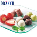 お中元 夏 ギフト 送料無料 ひとくちアイスセット 33粒 611N |指定日届※沖縄・離島へは届不可(直)
