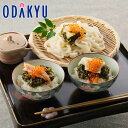 お中元 夏 ギフト 送料無料 海鮮ぶっかけ丼セット 494 |指定日届※沖縄・離島へは届不可(直)